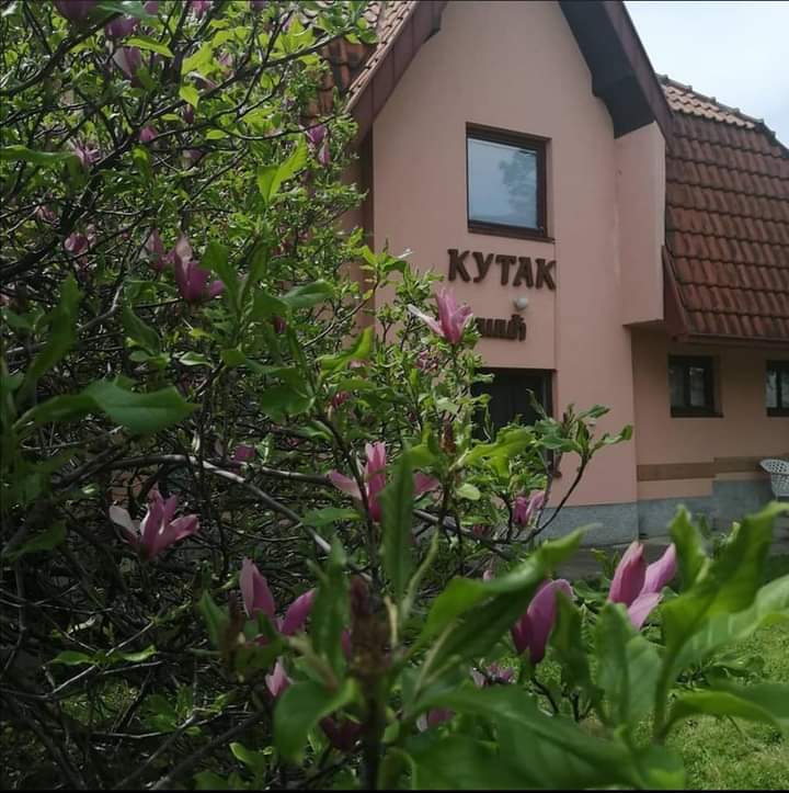 Otkrijte mali raj u Vrnjačkoj Banji: Apartmani Kutak Nešić