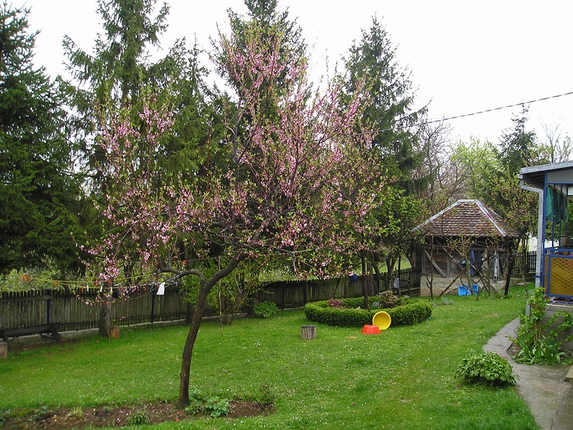 Porodicno imanje zaseok Robaje-Mionica