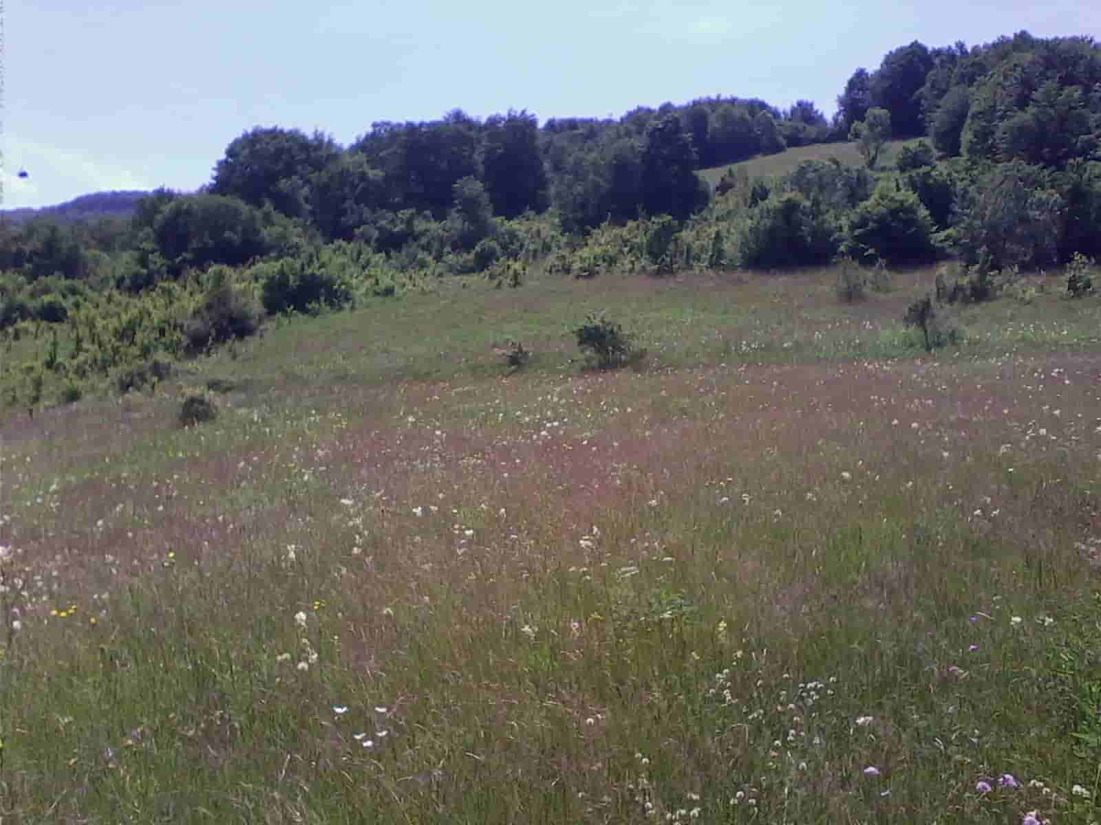 Stara planina placevi!