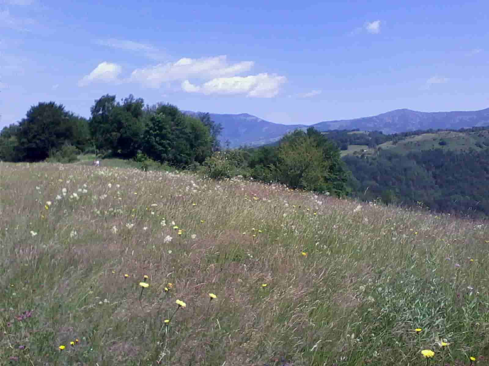 Stara planina placevi!