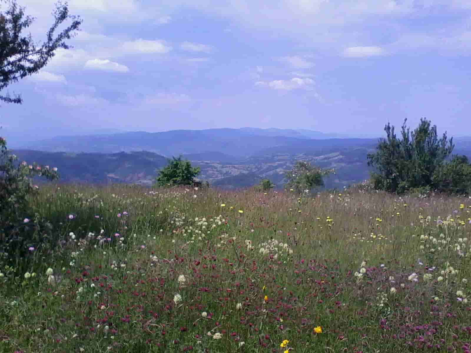 Stara planina placevi!