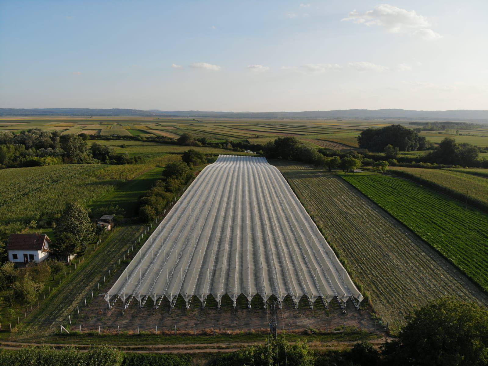 Plantaza Borovnica Pancevo-Banatski Brestovac