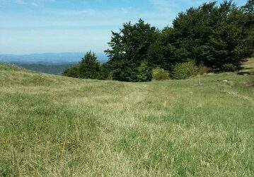 Plac ispod Cigote-Zlatibor