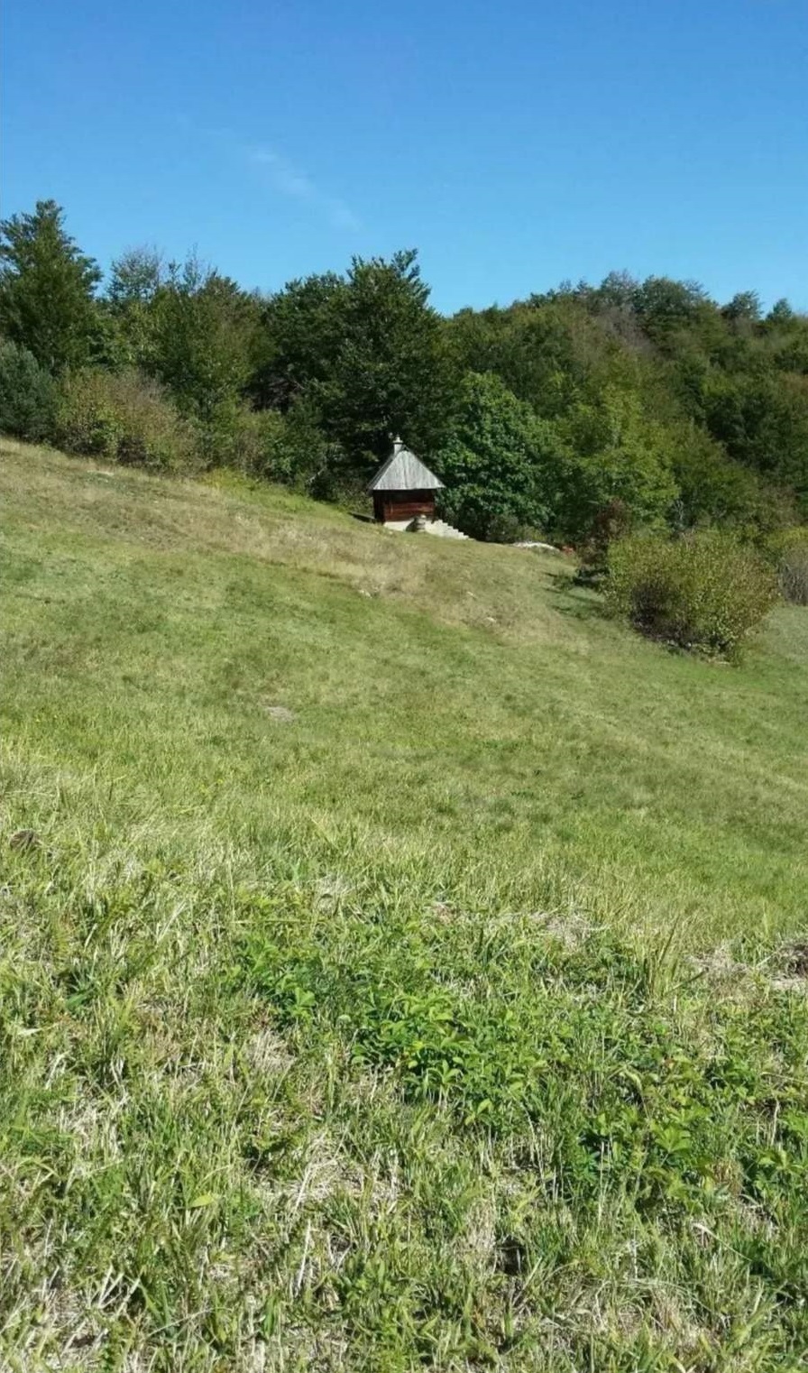 Plac ispod Cigote-Zlatibor