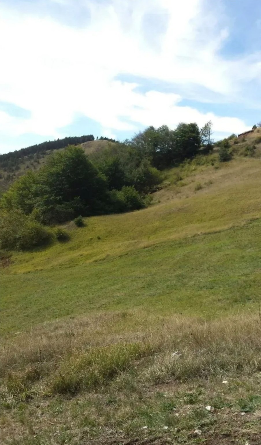 Plac ispod Cigote-Zlatibor