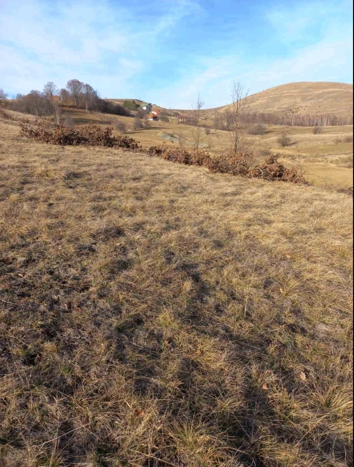 Prodaja placa-Zlatibor