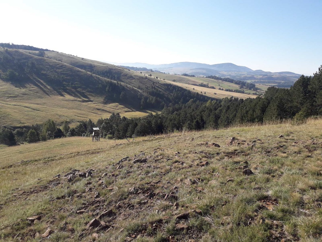 Plac Tometino polje-Divcibare