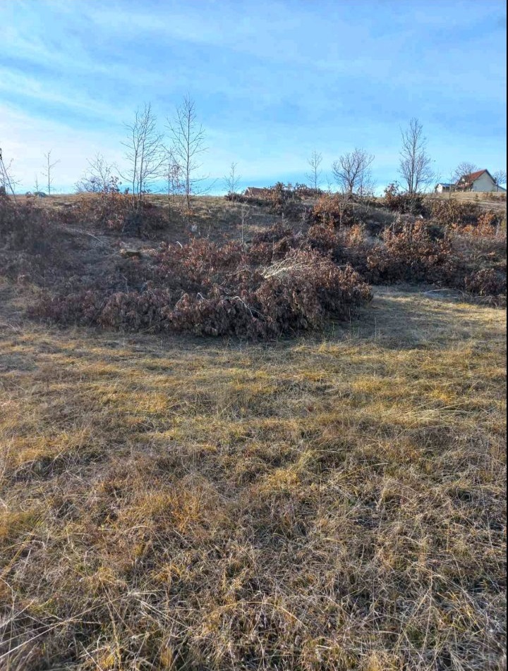 Prodaja placa-Zlatibor