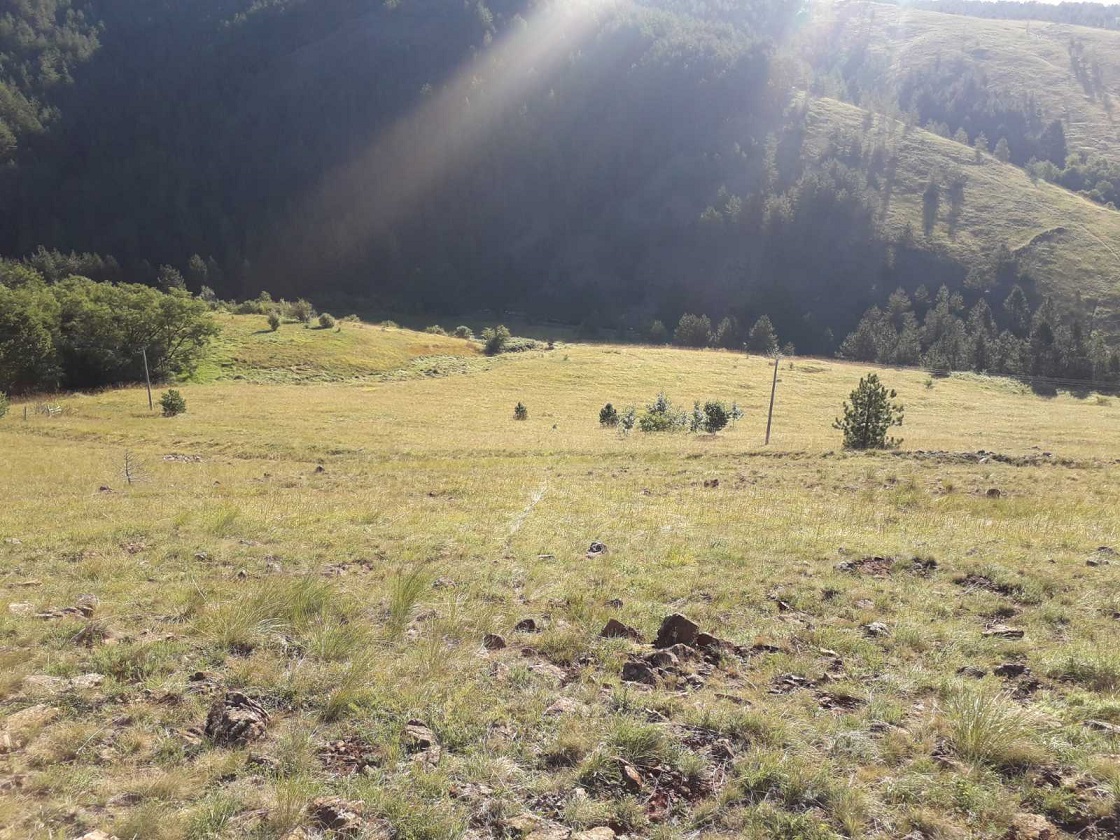 Plac Tometino polje-Divcibare