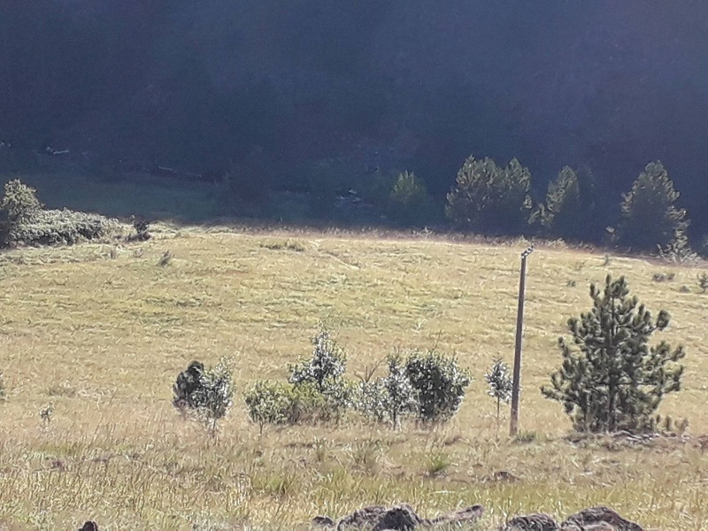 Plac Tometino polje-Divcibare