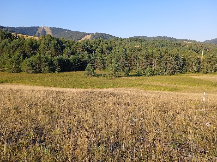 Prodajem plac Zlatibor-Tornik