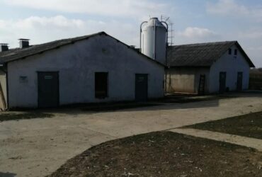 Farma 3000m2 na 1.5ha-Banatski Brestovac