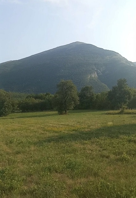 Na prodaju parcele u samom podnozju Rtnja