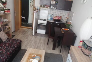 Izdajem namesten stan porodici ili bracnim parovima