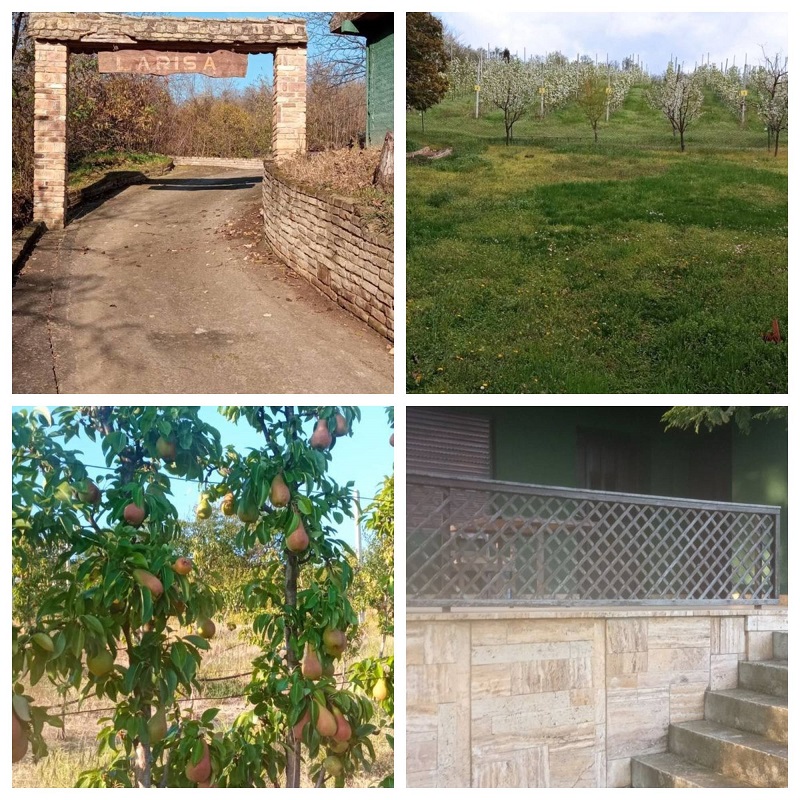 Vikendica Krcedin-Sl.Vinogradi