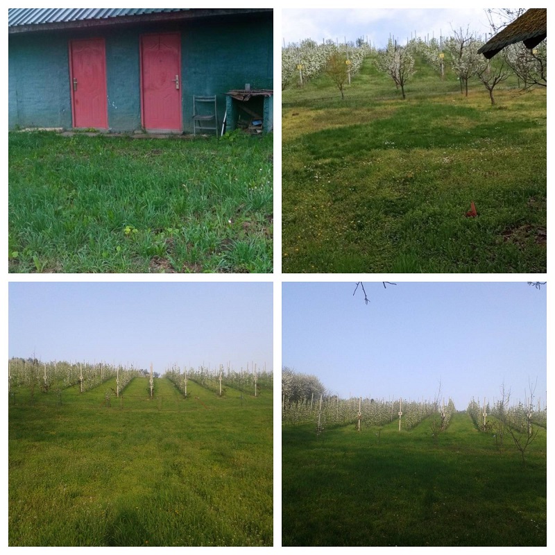 Vikendica Krcedin-Sl.Vinogradi