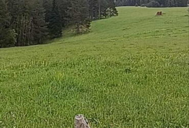 Prodajem placeve u blizini ski centra Igrišta i Han Pijeska