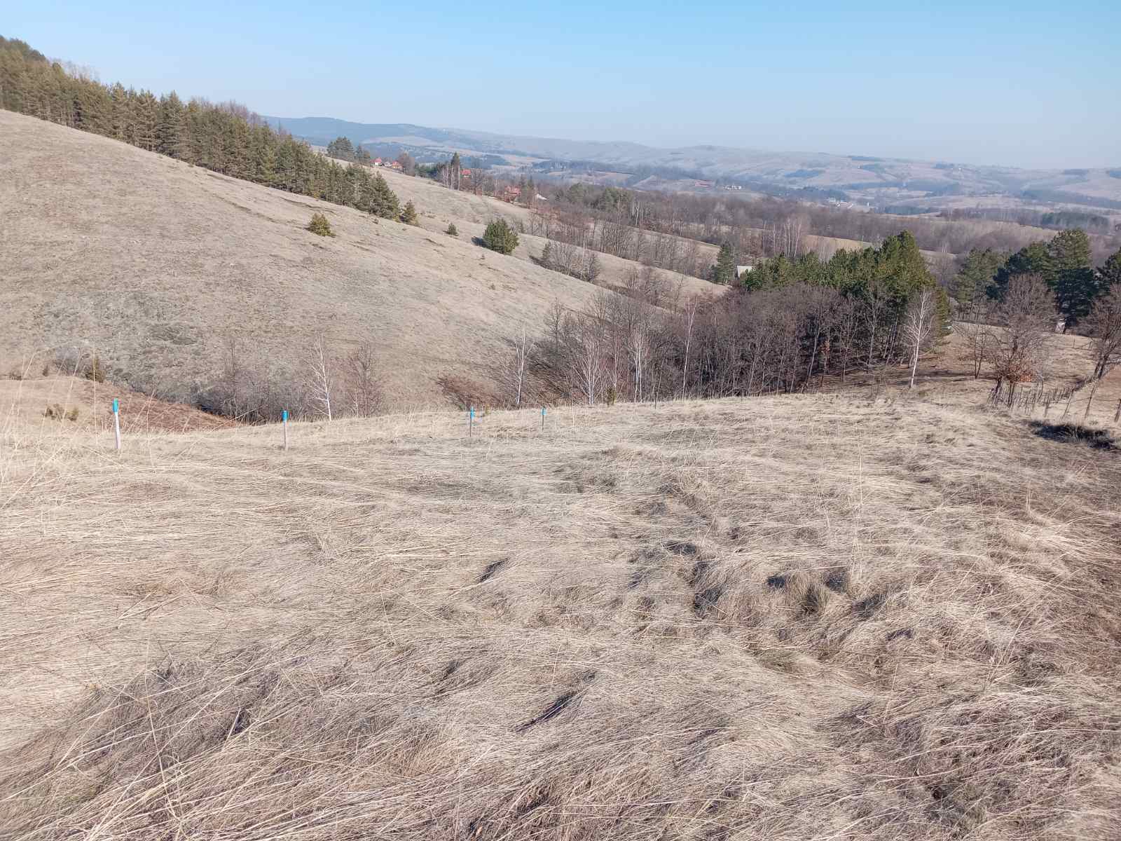 Prodajem placeve Divcibare-Tometino polje