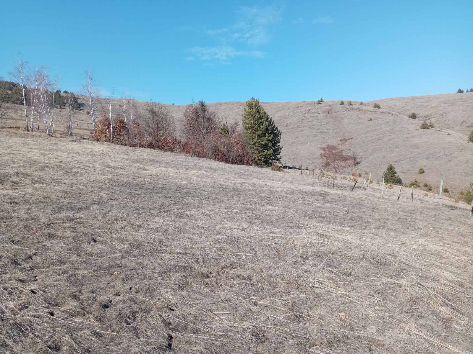 Prodajem placeve Divcibare-Tometino polje