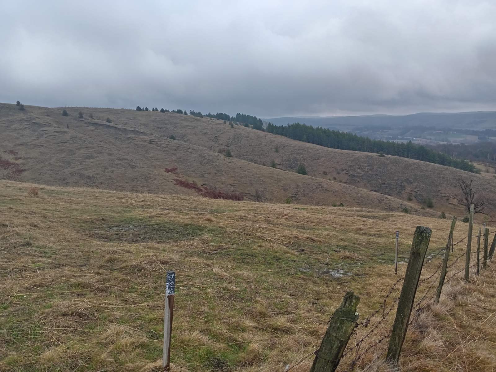 Prodajem placeve Divcibare-Tometino polje