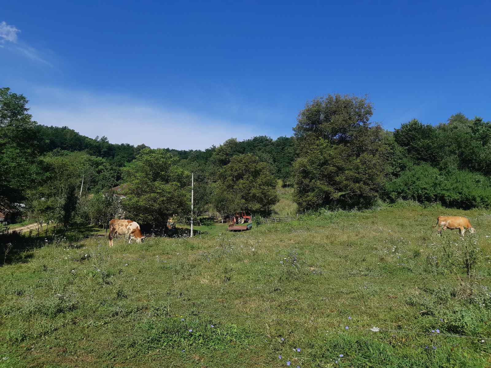 HITNO prodajem imanje u selu Zivica-Lucani