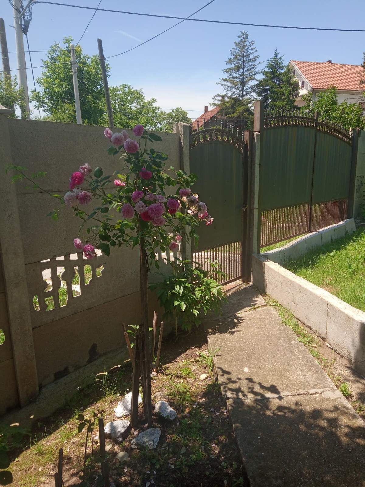 Prodajem porodicno imanje u Maloj Mostanici-Beograd