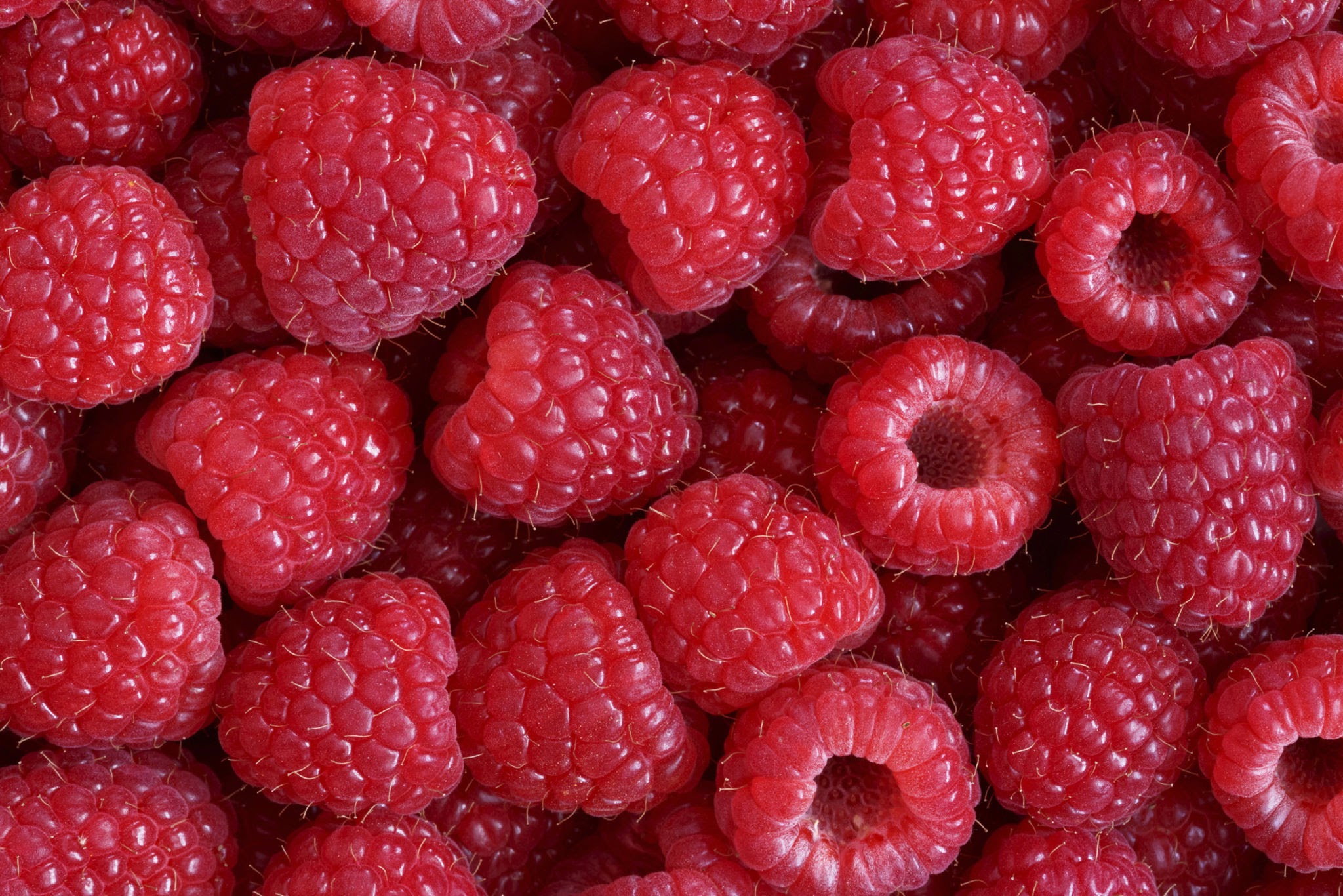 Berba maline