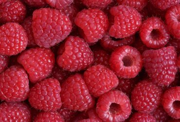 Berba maline