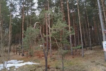 Plac na prodaju Zlatibor-Vodice