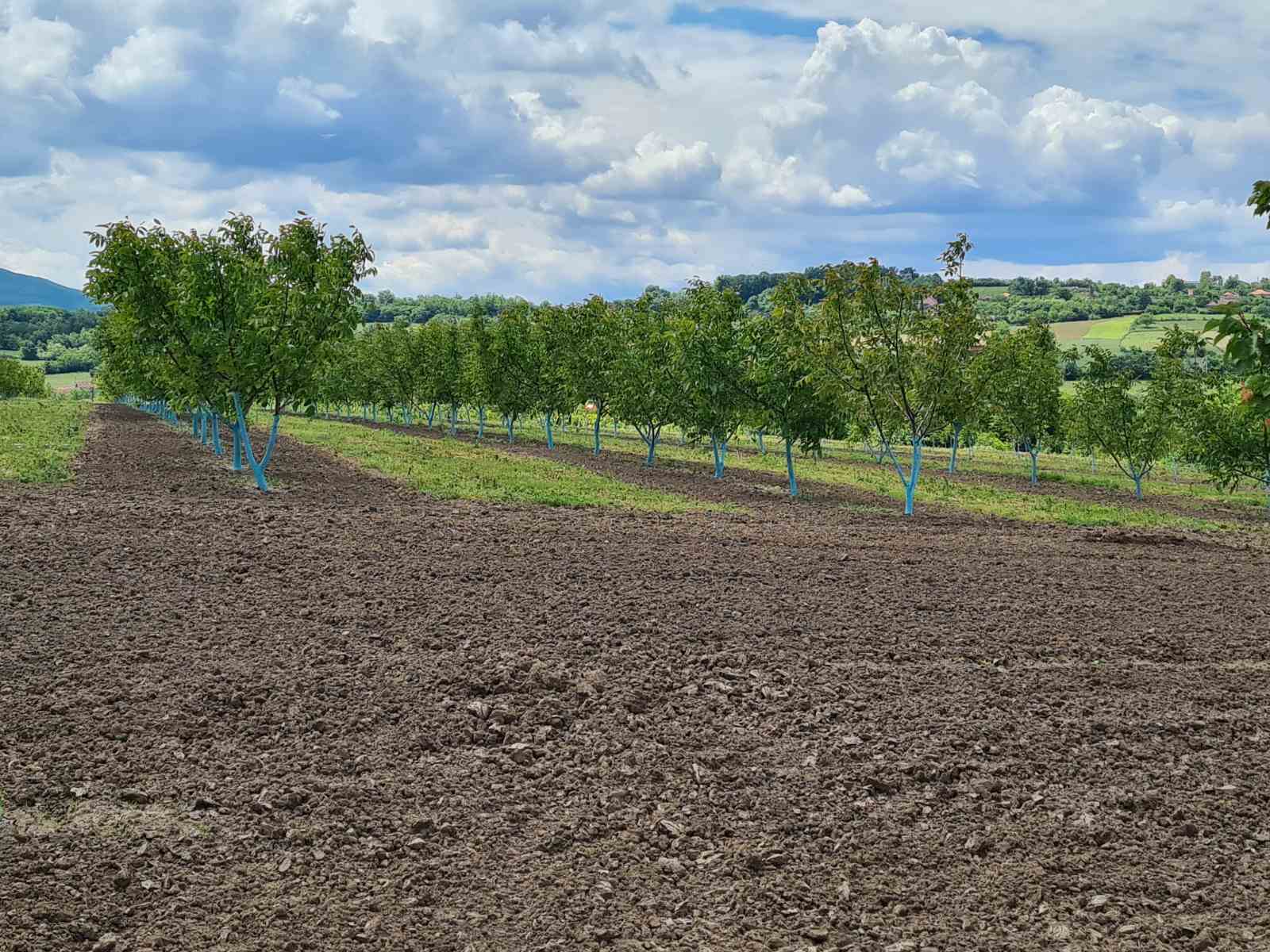 Fantasticno imanje 3.5ha,nadomak Beograda