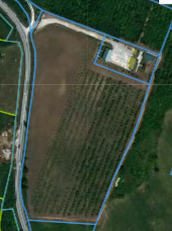 Fantasticno imanje 3.5ha,nadomak Beograda