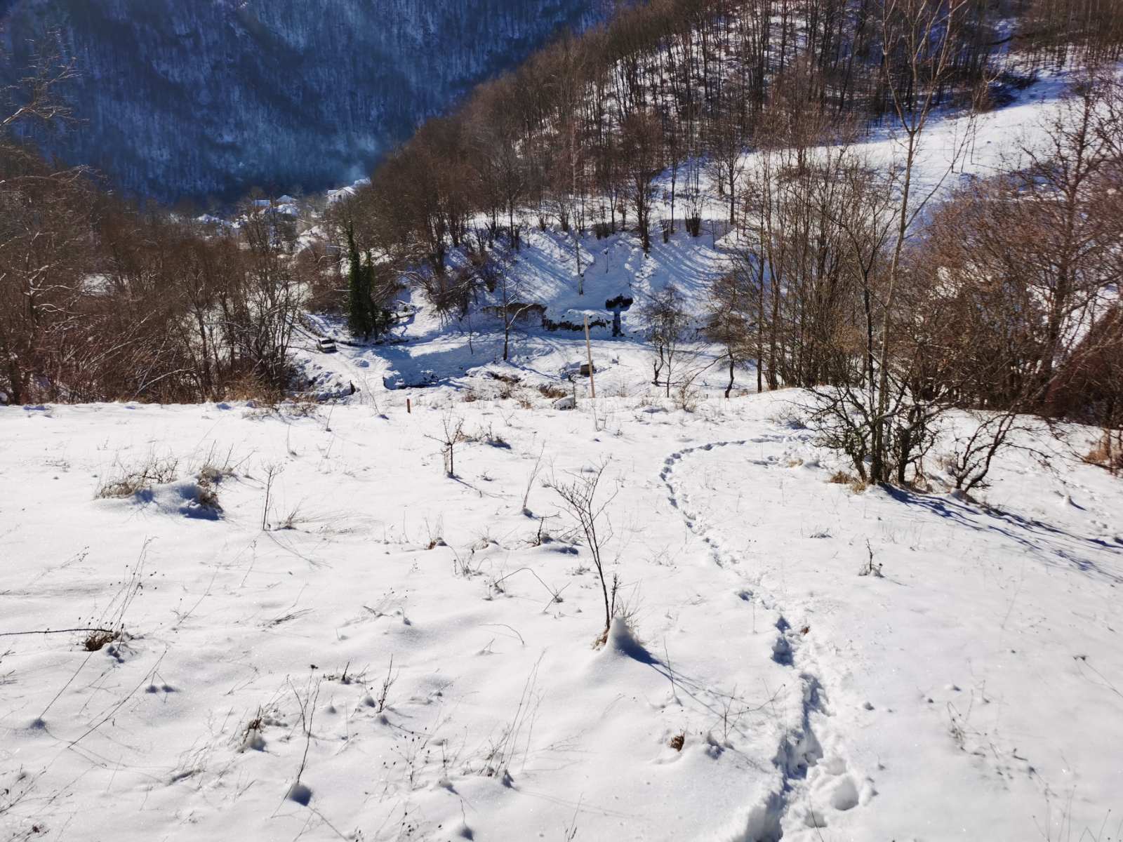 Gradjevinsko zemljiste u selu Crni Vrh na Babinom Zubu