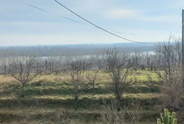 Plac sa pogledom na Dunav-Belegis