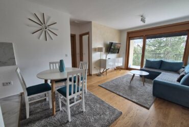 Stan na Zlatiboru , 50m od Mone , 3.0 , parking