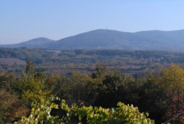 Na prodaju plac (suma) u Sopotu