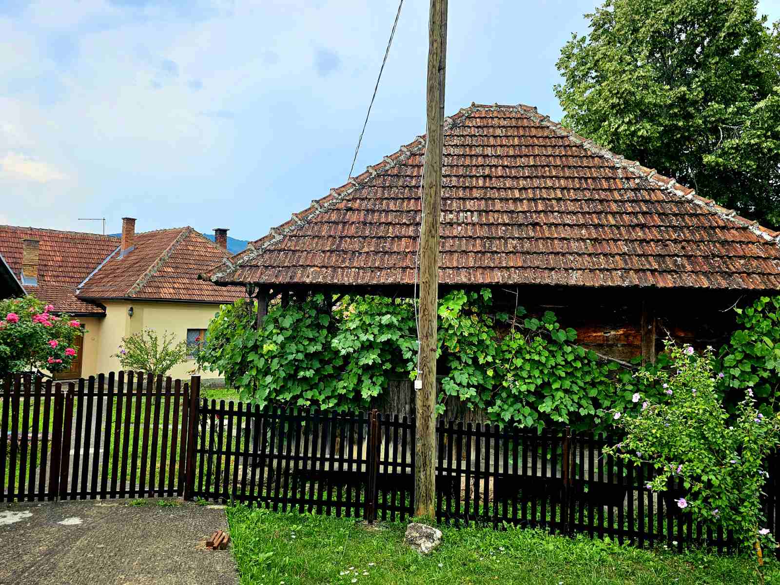 Prodajem imanje 8.6ha sa kucom-Kosjeric