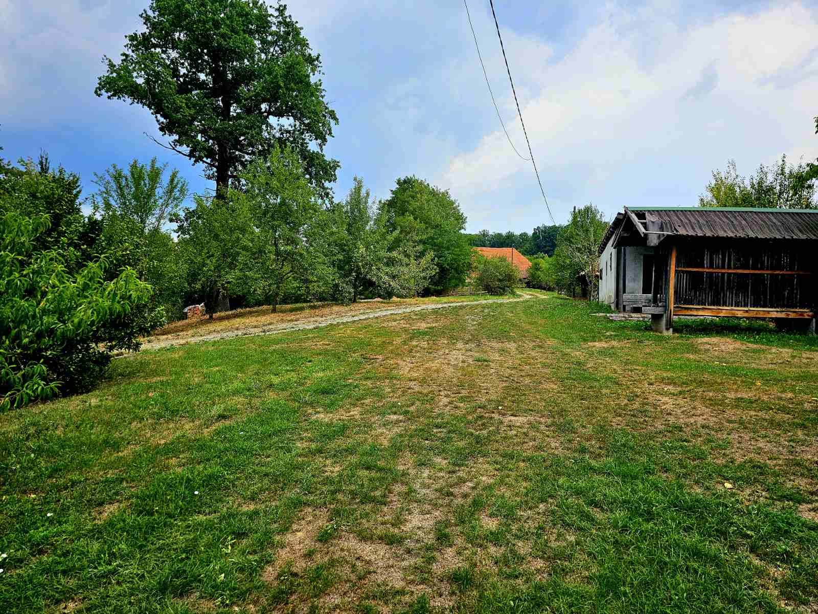 Prodajem imanje 8.6ha sa kucom-Kosjeric