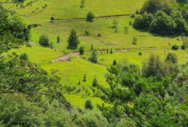 Stara Planina extra placevi