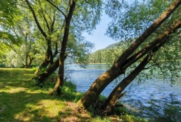 Placevi na prodaju Gornja Trešnjica-Ljubovija