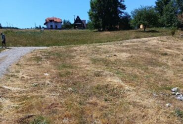 Plac na Tari-Osluša