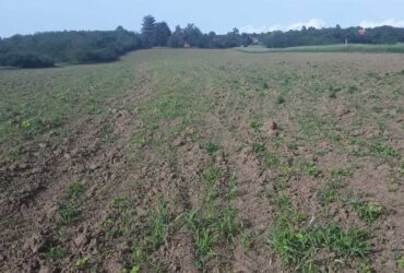 Placevi na prodaju Mladenovac-Vlaška