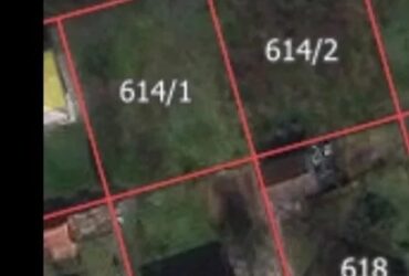 Plac sa gradjevinskom dozvolom na Palicu