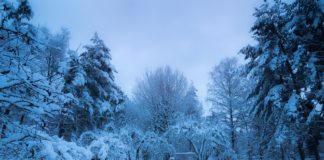 RHMZ upozorenje: Od sutra crveni meteoalarm Upozorenje: Od sutra crveni meteoalarm