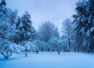 RHMZ upozorenje: Od sutra crveni meteoalarm Upozorenje: Od sutra crveni meteoalarm