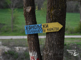 Naissus PUTNIK: Nezaboravni aprilski izlet na Homoljskim planinama