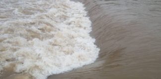 Pronađeno telo u Nišavi u blizini sela Trupale reka nišava