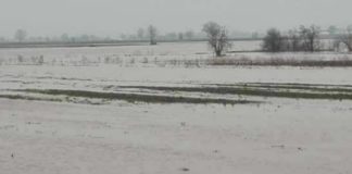 Poplavljen objekat u Banji Topilo i oranice na potezu ka Lalincu Poplavljene oranice