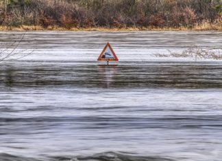 Klimatske promene u Srbiji: Prete nam ekstremno visoke temperature i bujične poplave Hitna prevencija od elementarnih nepogoda