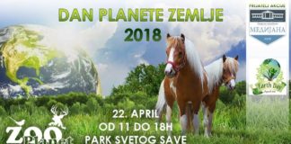 Druženje sa konjima i menjanje sličica u Parku Sveti Sava Dan planete Zemlje; Foto: ZOO Planet