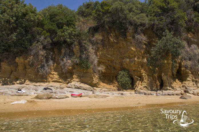 Pelion Pelion